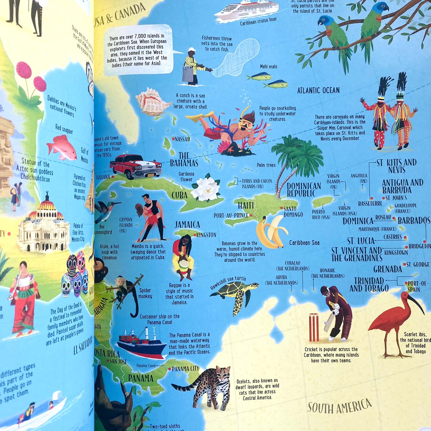 Книга Big Picture Atlas