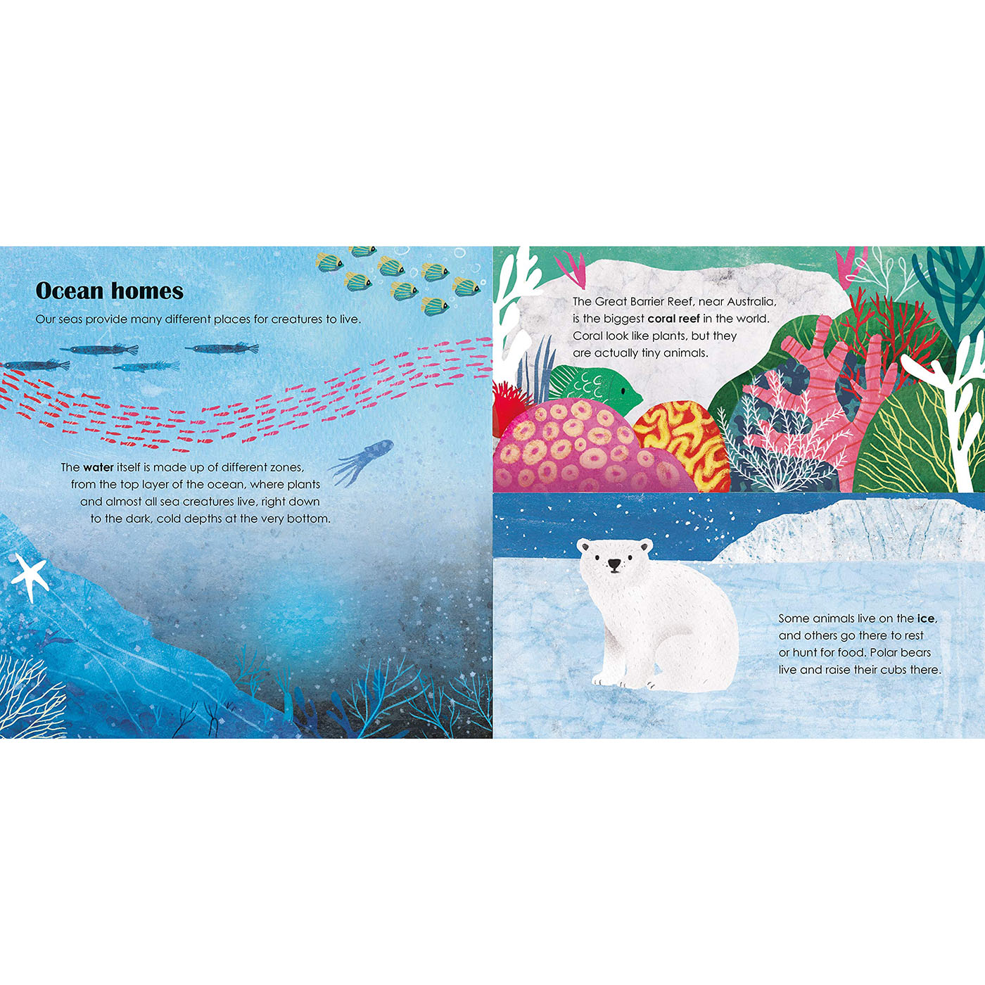 Книга Seas: A lift the flap eco book