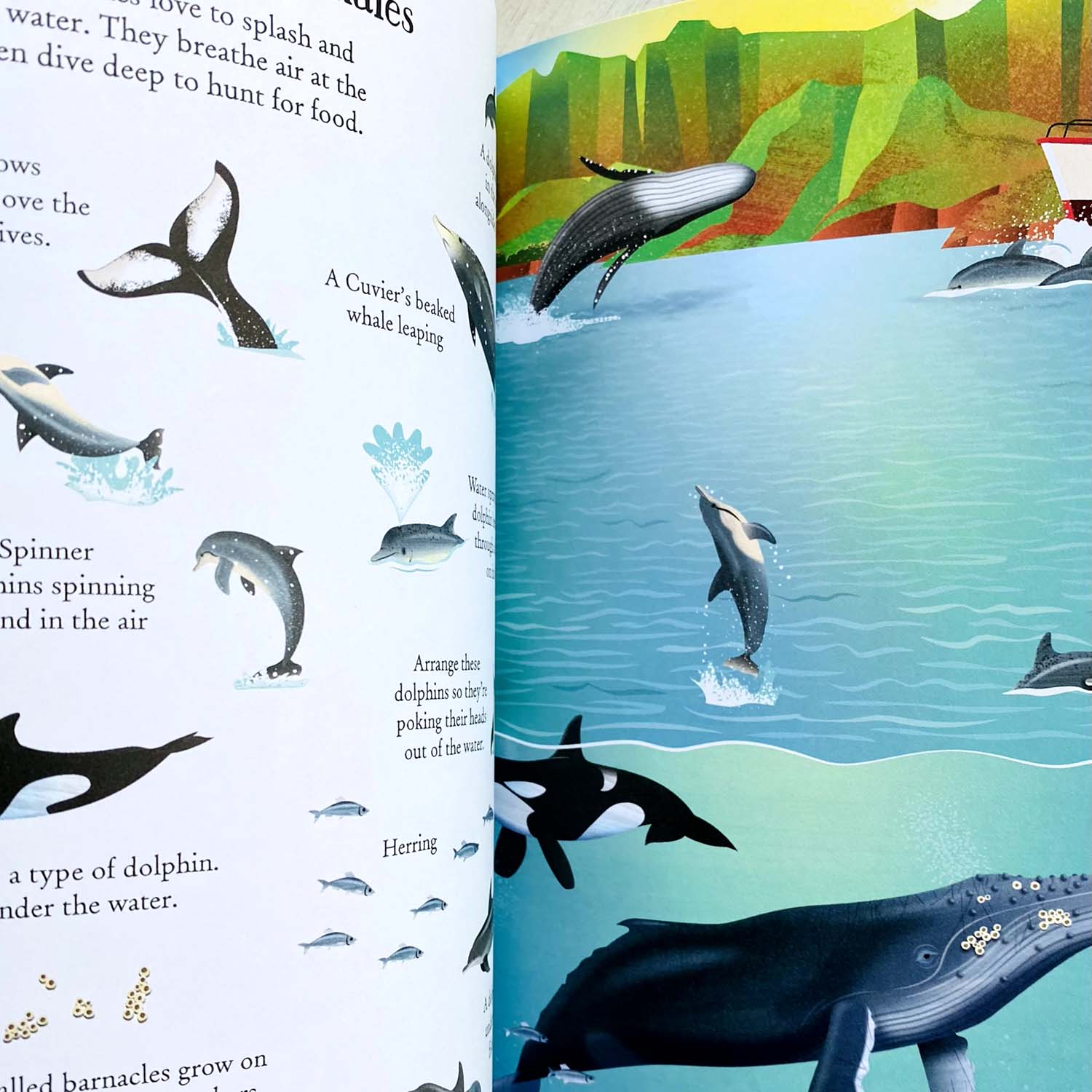 Книга Transfer Activity Book Under the Sea