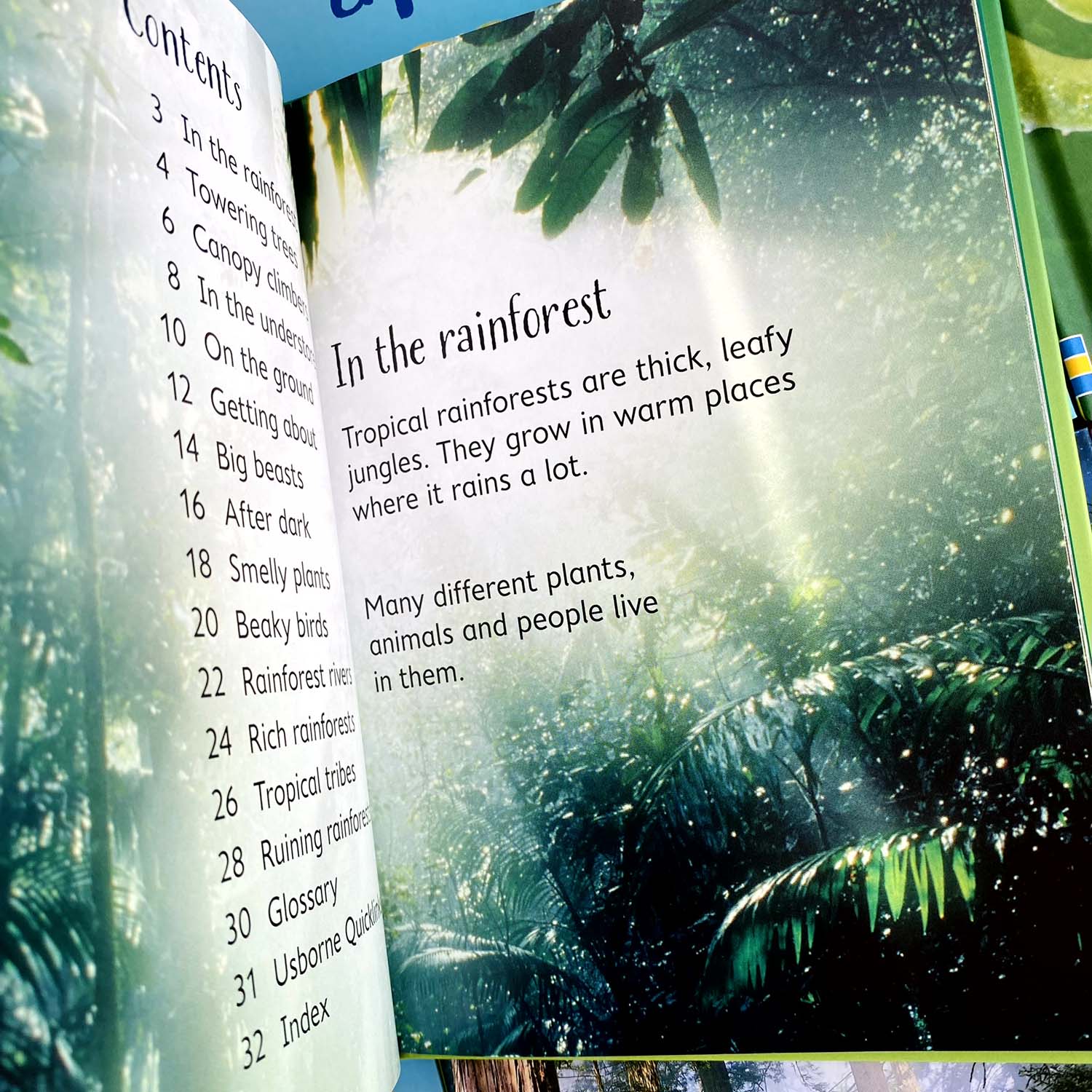 Книга Beginners - Rainforests