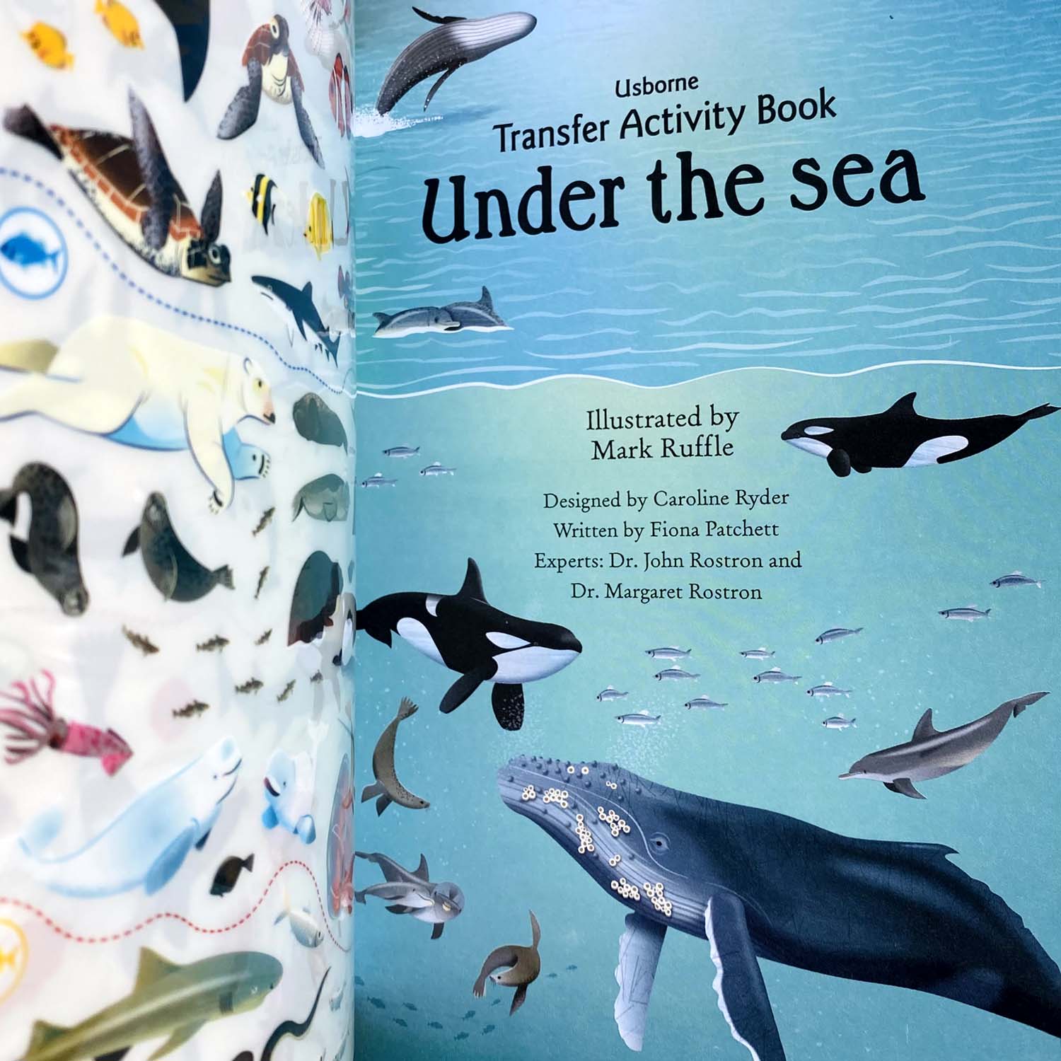 Книга Transfer Activity Book Under the Sea