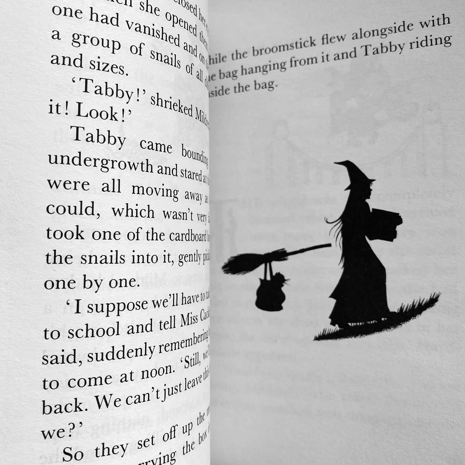 Книга The Worst Witch