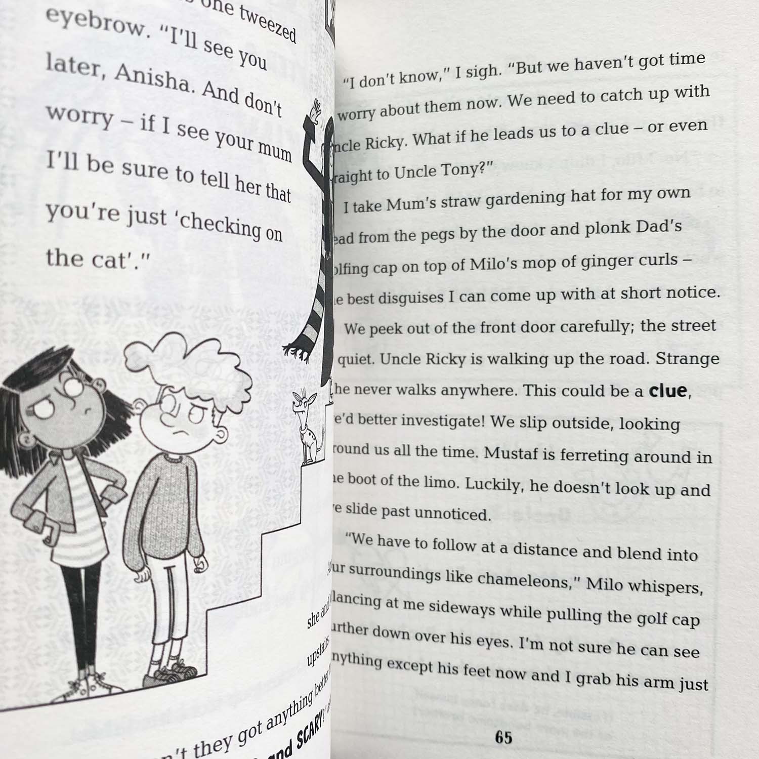 Книга Anisha, Accidental Detective
